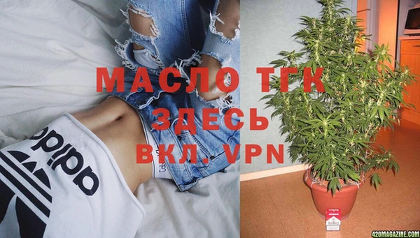 PSILOCYBIN Белокуриха