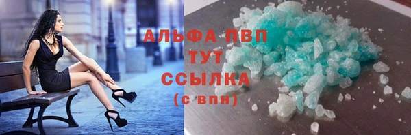 PSILOCYBIN Белокуриха