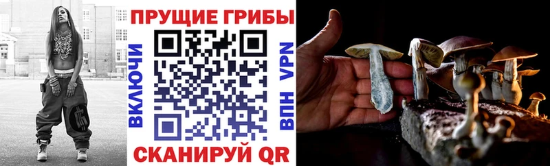 Псилоцибиновые грибы GOLDEN TEACHER  Завитинск 